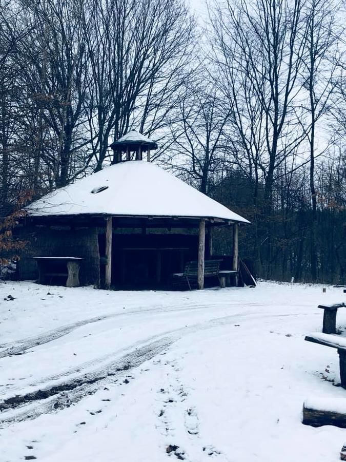 Отели типа «постель и завтрак» Pokoje Cztery Pory Roku Миколайки-17